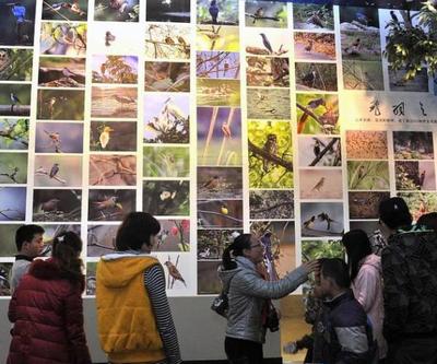 工廠礦山也能變景區？國家工業遺產旅游基地名單出爐 市場營銷策劃篇