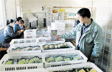 庫倫蕎麥掛面煥新升級 蔬菜系列顛覆傳統面食體驗