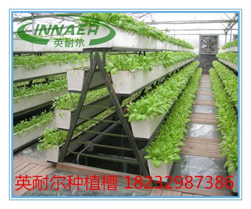 新型草莓種植槽與番茄基質(zhì)槽 蔬菜專用槽的價(jià)格、圖片與批發(fā)指南