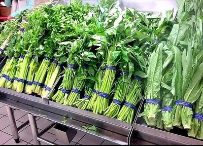 清遠(yuǎn)蔬菜種植基地 打造高品質(zhì)農(nóng)產(chǎn)品蔬菜配送新標(biāo)桿